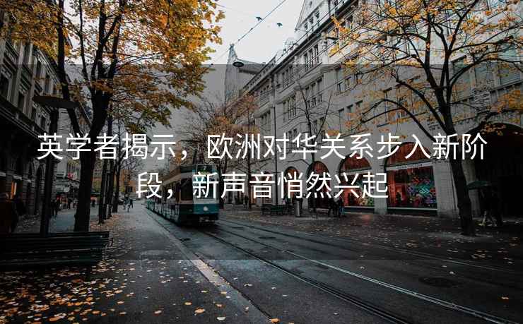 英學者揭示，歐洲對華關系步入新階段，新聲音悄然興起