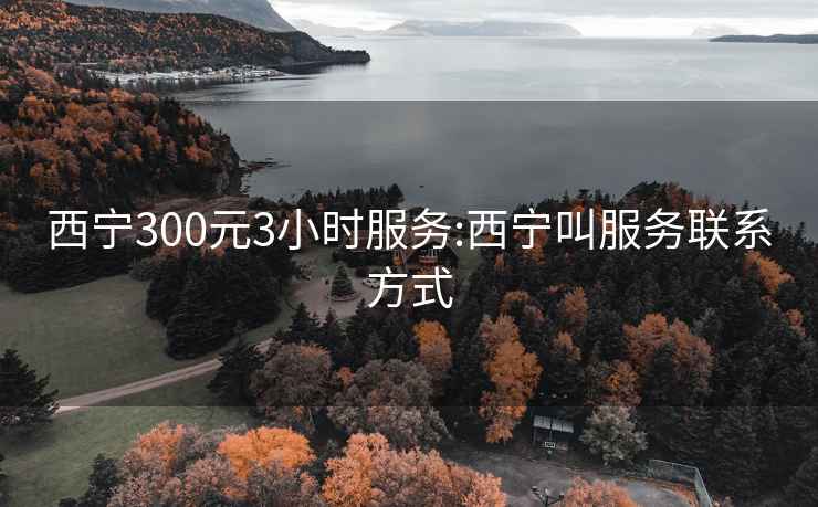 西寧300元3小時服務:西寧叫服務聯(lián)系方式