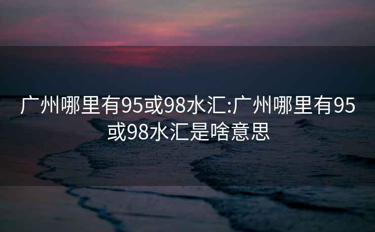 廣州哪里有95或98水匯:廣州哪里有95或98水匯是啥意思
