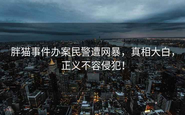 胖貓事件辦案民警遭網(wǎng)暴，真相大白，正義不容侵犯！