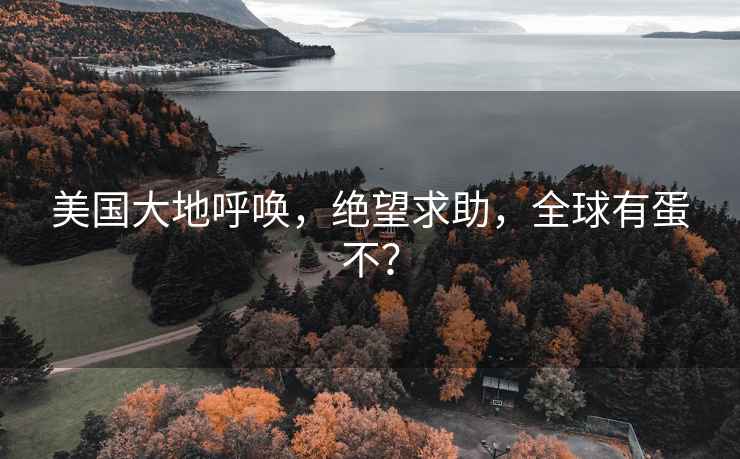 美國大地呼喚，絕望求助，全球有蛋不？