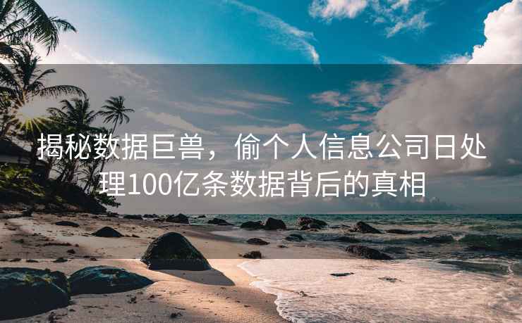 揭秘數據巨獸，偷個人信息公司日處理100億條數據背后的真相