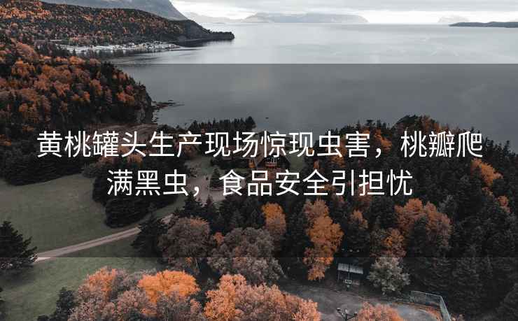 黃桃罐頭生產現場驚現蟲害，桃瓣爬滿黑蟲，食品安全引擔憂