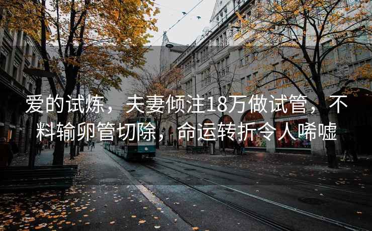 愛的試煉，夫妻傾注18萬做試管，不料輸卵管切除，命運轉折令人唏噓