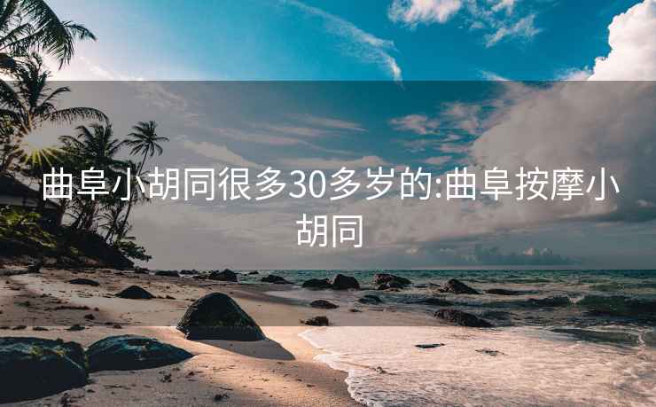曲阜小胡同很多30多歲的:曲阜按摩小胡同