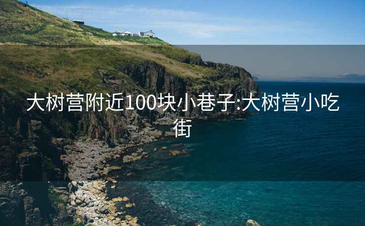 大樹營附近100塊小巷子:大樹營小吃街