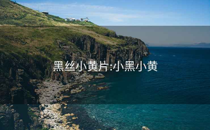黑絲小黃片:小黑小黃