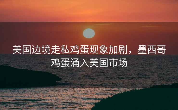 美國邊境走私雞蛋現象加劇，墨西哥雞蛋涌入美國市場