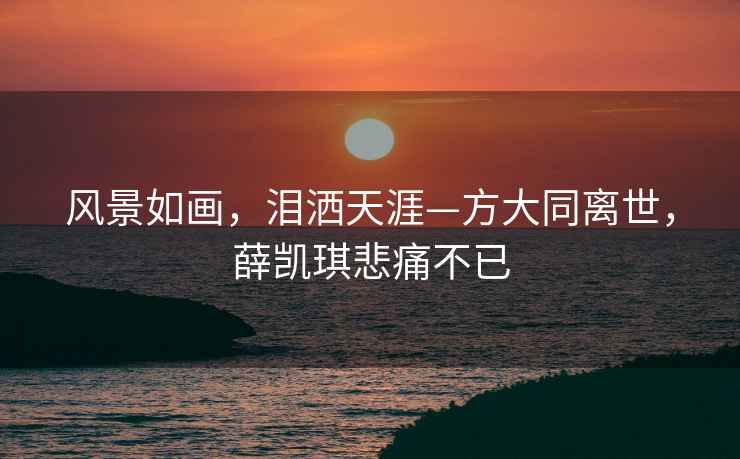 風(fēng)景如畫，淚灑天涯—方大同離世，薛凱琪悲痛不已