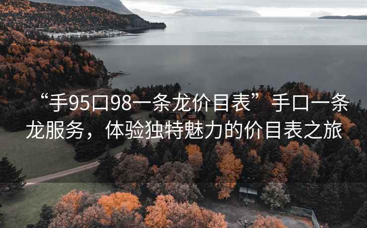 “手95口98一條龍價目表”手口一條龍服務(wù)，體驗獨特魅力的價目表之旅