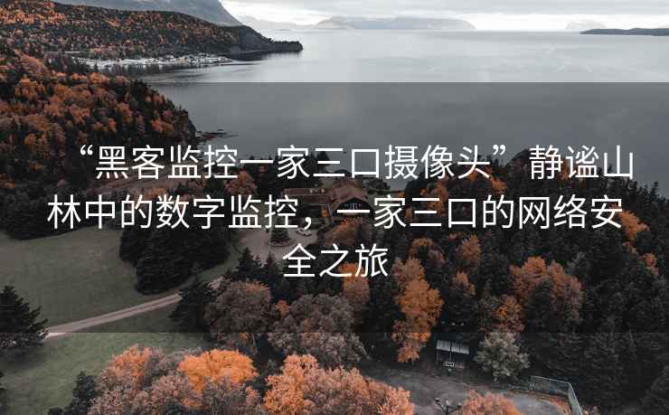 “黑客監控一家三口攝像頭”靜謐山林中的數字監控，一家三口的網絡安全之旅