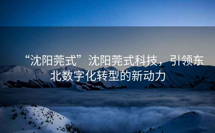 “沈陽莞式”沈陽莞式科技，引領東北數字化轉型的新動力