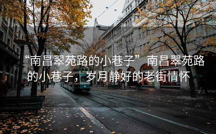 “南昌翠苑路的小巷子”南昌翠苑路的小巷子，歲月靜好的老街情懷