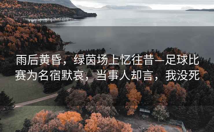 雨后黃昏，綠茵場上憶往昔—足球比賽為名宿默哀，當事人卻言，我沒死