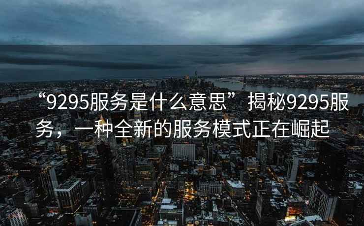“9295服務是什么意思”揭秘9295服務，一種全新的服務模式正在崛起