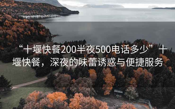“十堰快餐200半夜500電話多少”十堰快餐，深夜的味蕾誘惑與便捷服務