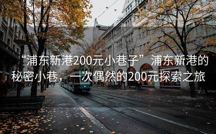 “浦東新港200元小巷子”浦東新港的秘密小巷，一次偶然的200元探索之旅