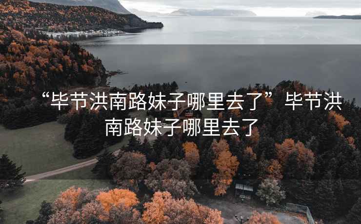 “畢節(jié)洪南路妹子哪里去了”畢節(jié)洪南路妹子哪里去了