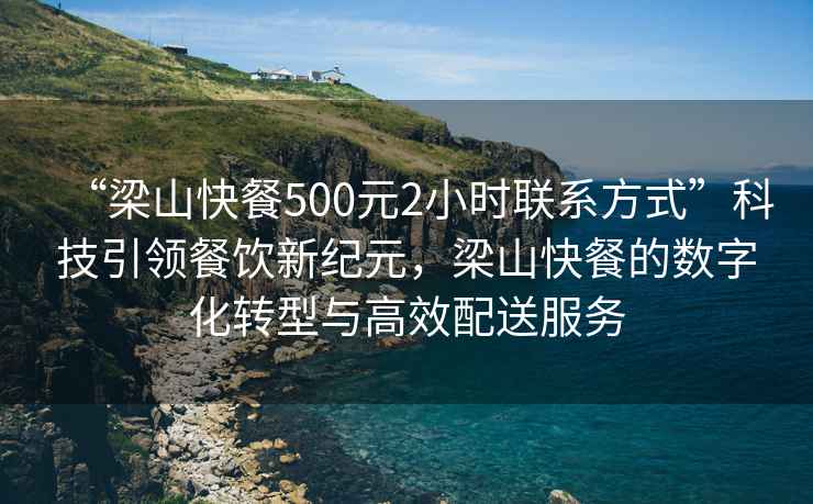 “梁山快餐500元2小時聯(lián)系方式”科技引領(lǐng)餐飲新紀(jì)元，梁山快餐的數(shù)字化轉(zhuǎn)型與高效配送服務(wù)