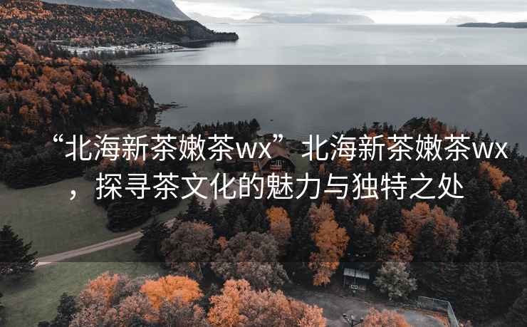 “北海新茶嫩茶wx”北海新茶嫩茶wx，探尋茶文化的魅力與獨特之處