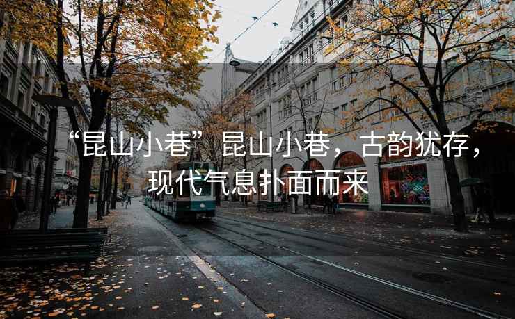 “昆山小巷”昆山小巷，古韻猶存，現代氣息撲面而來