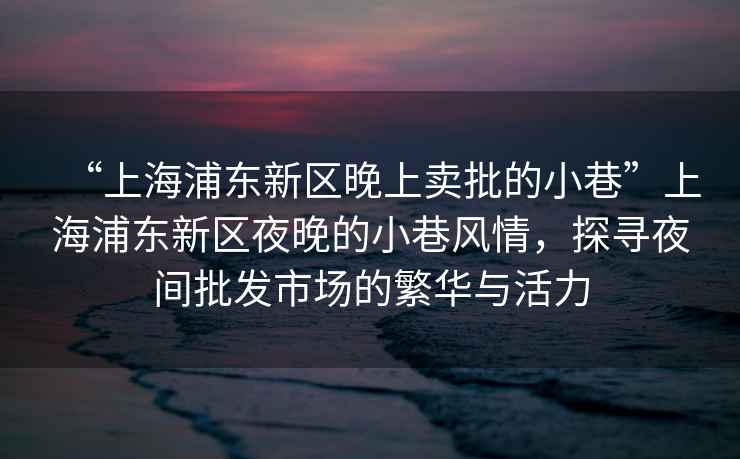 “上海浦東新區晚上賣批的小巷”上海浦東新區夜晚的小巷風情，探尋夜間批發市場的繁華與活力
