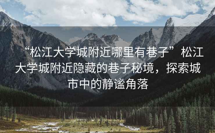 “松江大學(xué)城附近哪里有巷子”松江大學(xué)城附近隱藏的巷子秘境，探索城市中的靜謐角落