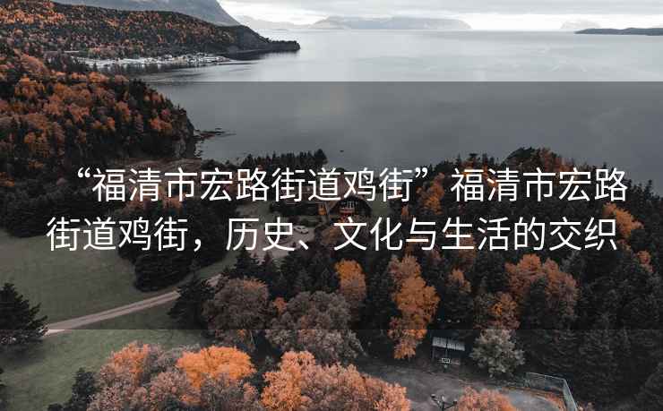 “福清市宏路街道雞街”福清市宏路街道雞街，歷史、文化與生活的交織