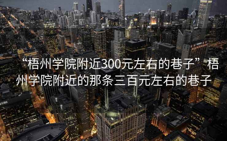 “梧州學(xué)院附近300元左右的巷子”梧州學(xué)院附近的那條三百元左右的巷子