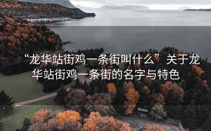 “龍華站街雞一條街叫什么”關(guān)于龍華站街雞一條街的名字與特色