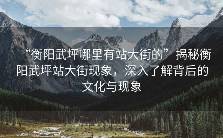 “衡陽武坪哪里有站大街的”揭秘衡陽武坪站大街現象，深入了解背后的文化與現象