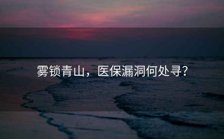 霧鎖青山，醫保漏洞何處尋？