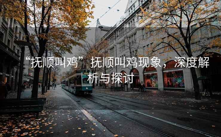 “撫順叫雞”撫順叫雞現象，深度解析與探討