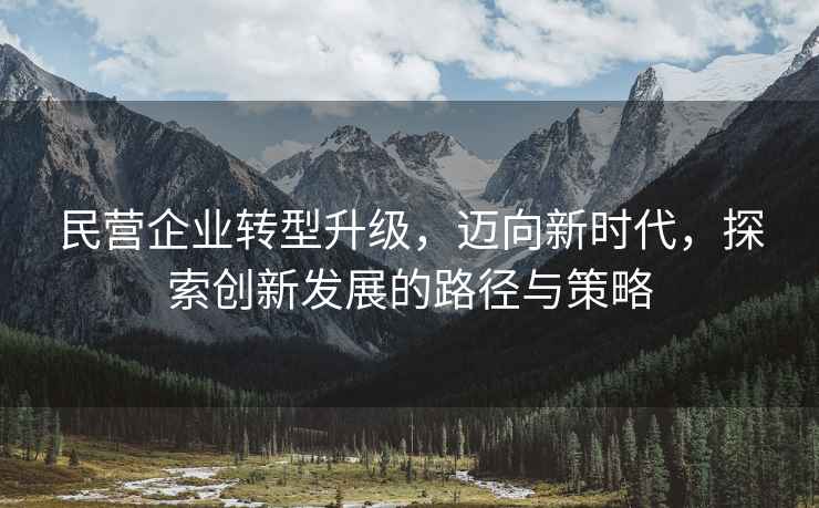 民營企業(yè)轉(zhuǎn)型升級(jí)，邁向新時(shí)代，探索創(chuàng)新發(fā)展的路徑與策略