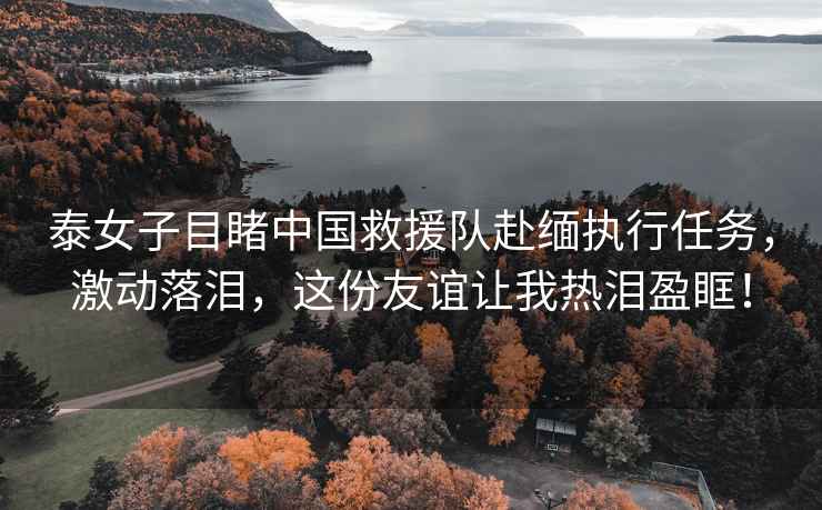 泰女子目睹中國救援隊赴緬執(zhí)行任務，激動落淚，這份友誼讓我熱淚盈眶！
