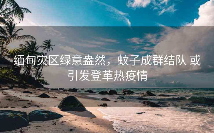 緬甸災區綠意盎然，蚊子成群結隊 或引發登革熱疫情