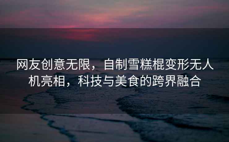 網(wǎng)友創(chuàng)意無限，自制雪糕棍變形無人機(jī)亮相，科技與美食的跨界融合