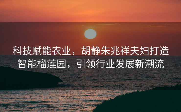 科技賦能農業，胡靜朱兆祥夫婦打造智能榴蓮園，引領行業發展新潮流