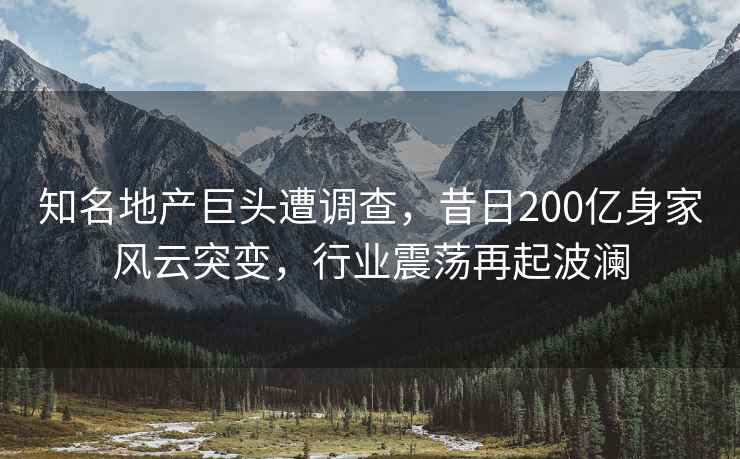 知名地產巨頭遭調查，昔日200億身家風云突變，行業震蕩再起波瀾
