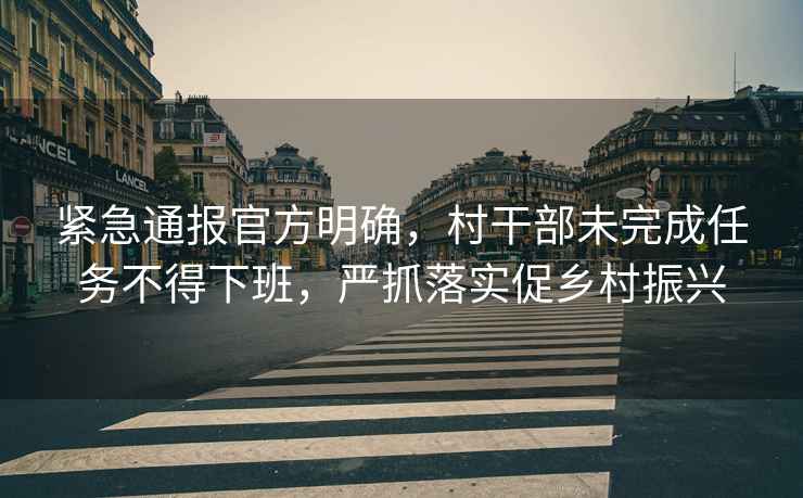緊急通報官方明確，村干部未完成任務不得下班，嚴抓落實促鄉村振興