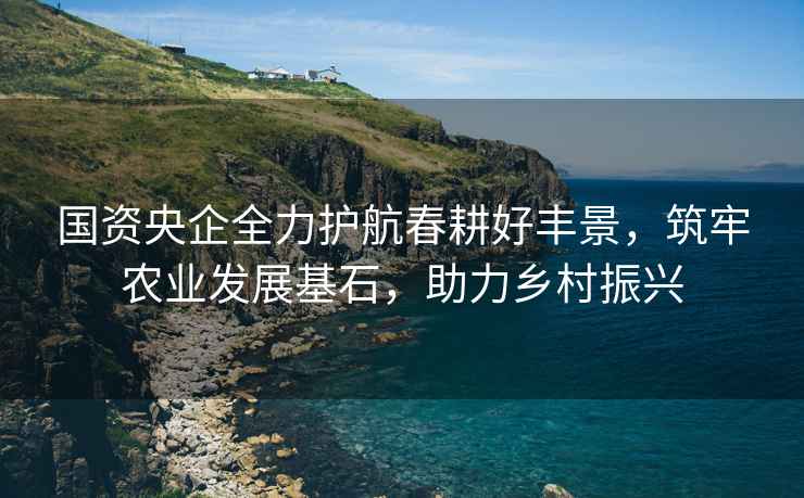 國資央企全力護(hù)航春耕好豐景，筑牢農(nóng)業(yè)發(fā)展基石，助力鄉(xiāng)村振興