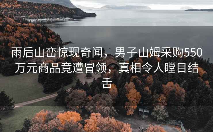 雨后山巒驚現奇聞，男子山姆采購550萬元商品竟遭冒領，真相令人瞠目結舌