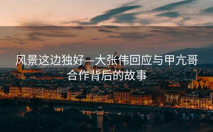 風景這邊獨好—大張偉回應與甲亢哥合作背后的故事
