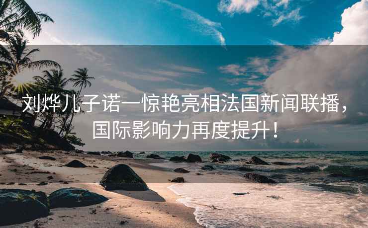 劉燁兒子諾一驚艷亮相法國新聞聯播，國際影響力再度提升！