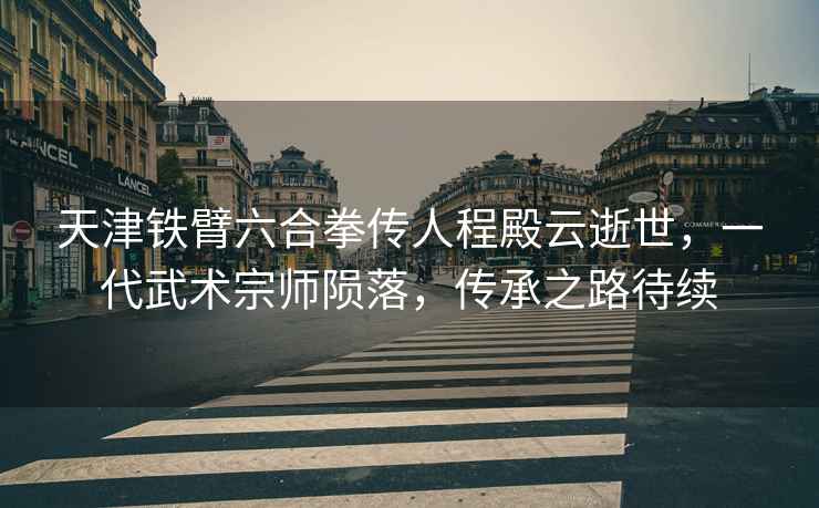 天津鐵臂六合拳傳人程殿云逝世，一代武術(shù)宗師隕落，傳承之路待續(xù)