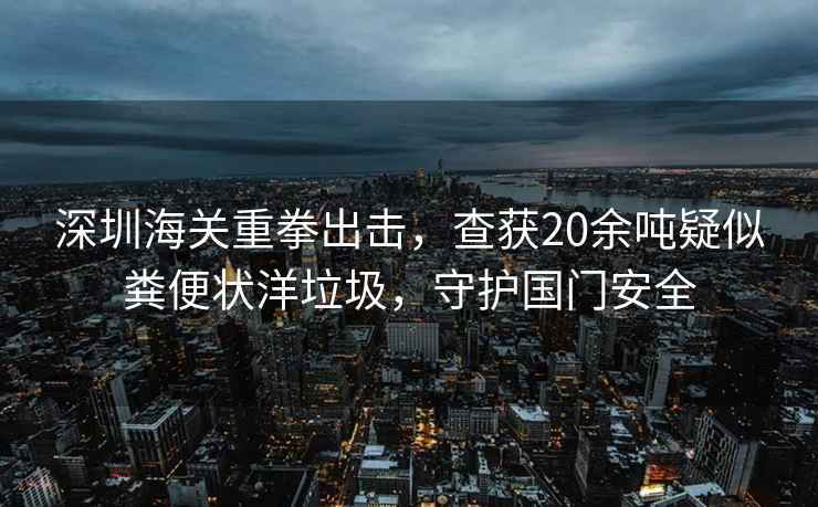 深圳海關重拳出擊，查獲20余噸疑似糞便狀洋垃圾，守護國門安全