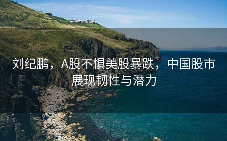 劉紀鵬，A股不懼美股暴跌，中國股市展現韌性與潛力