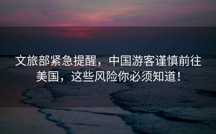 文旅部緊急提醒，中國游客謹慎前往美國，這些風險你必須知道！