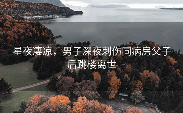 星夜凄涼，男子深夜刺傷同病房父子后跳樓離世