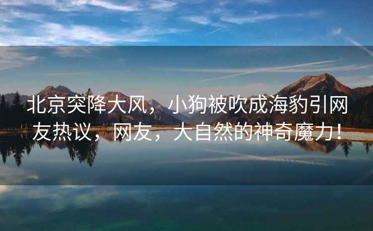 北京突降大風，小狗被吹成海豹引網友熱議，網友，大自然的神奇魔力！